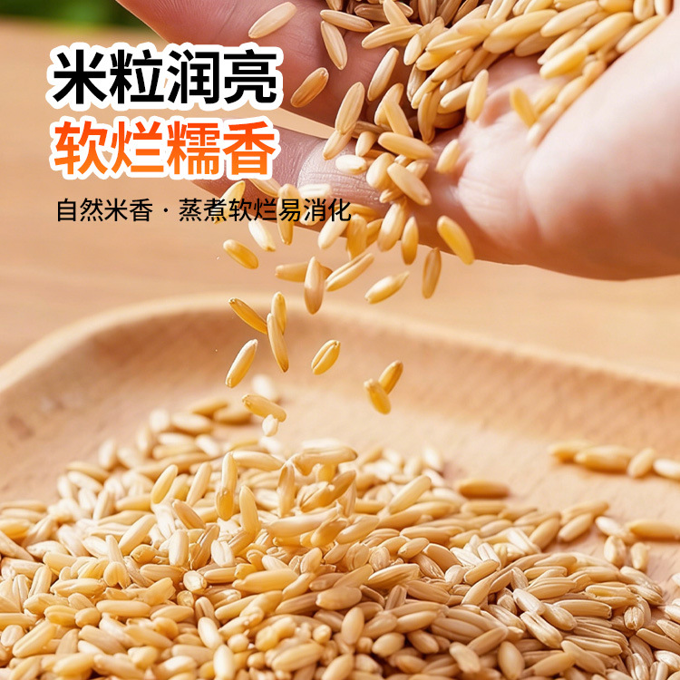 500g燕麦米双层真空食用农产品五谷杂粮杂粮
